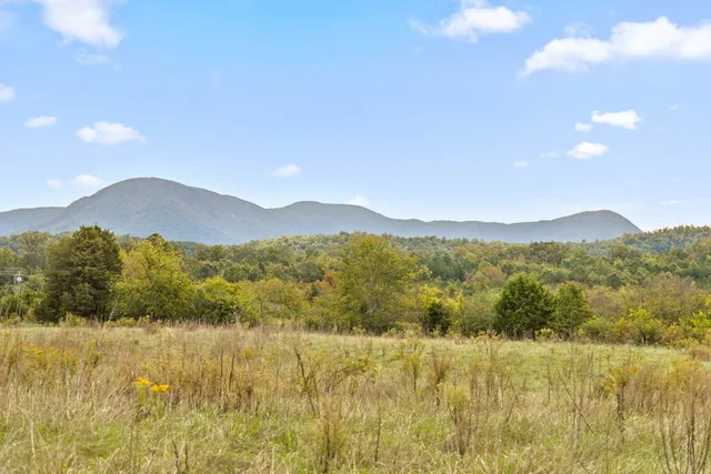 a view of lake and mountain