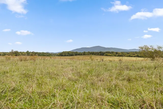 a view of a lake with houses in the back