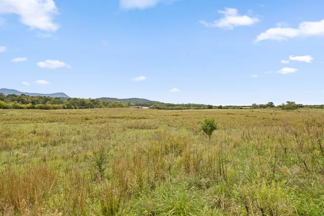 a view of an ocean and beach