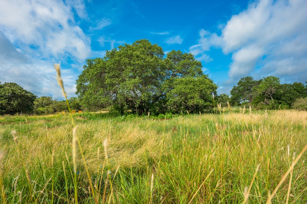 7602 County Road 113 Llano, TX 78643 - Photo 40 of 69
