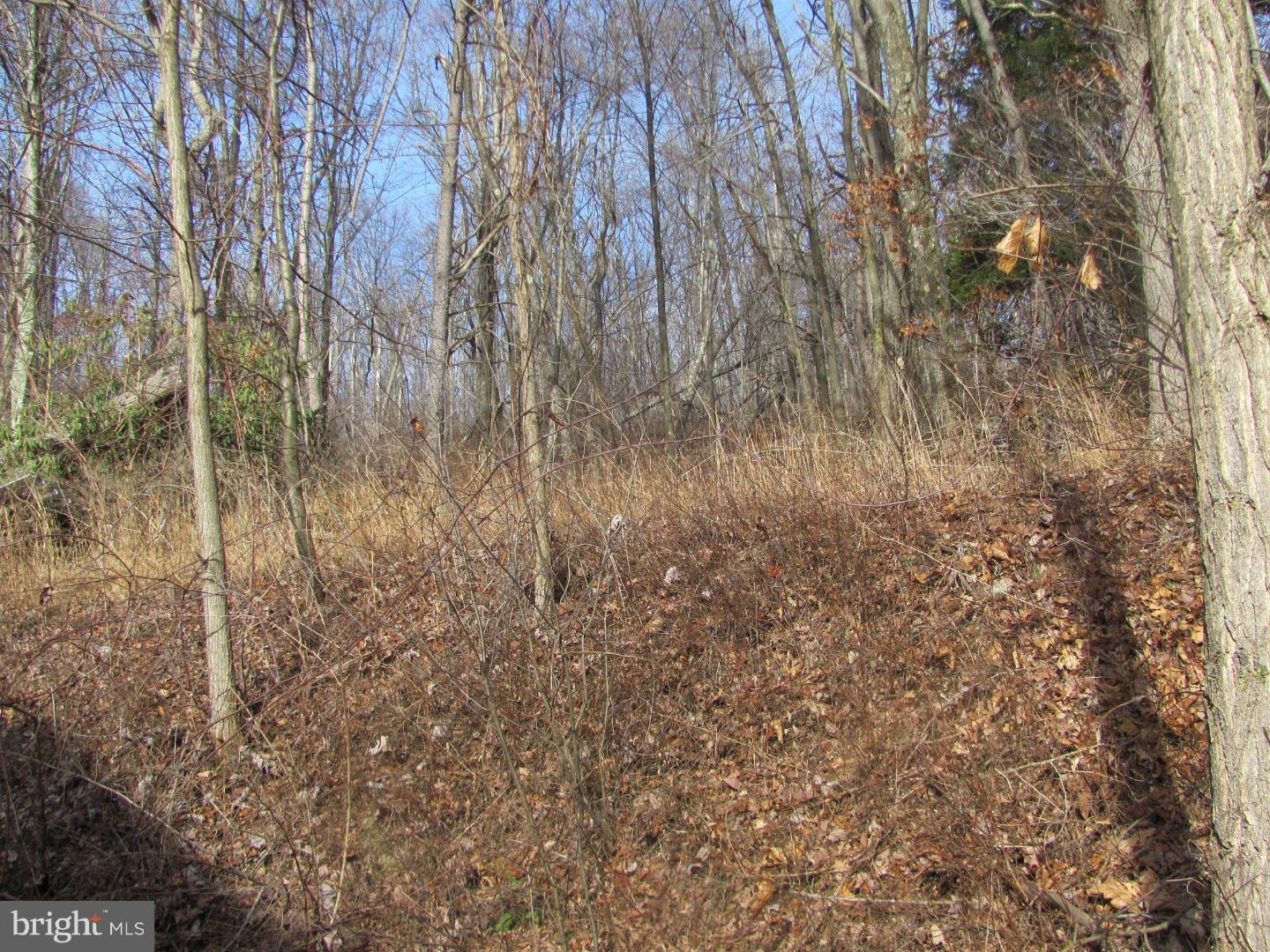 231 Beechnut Road New Ringgold, PA 17960 - Photo 11 of 24 View