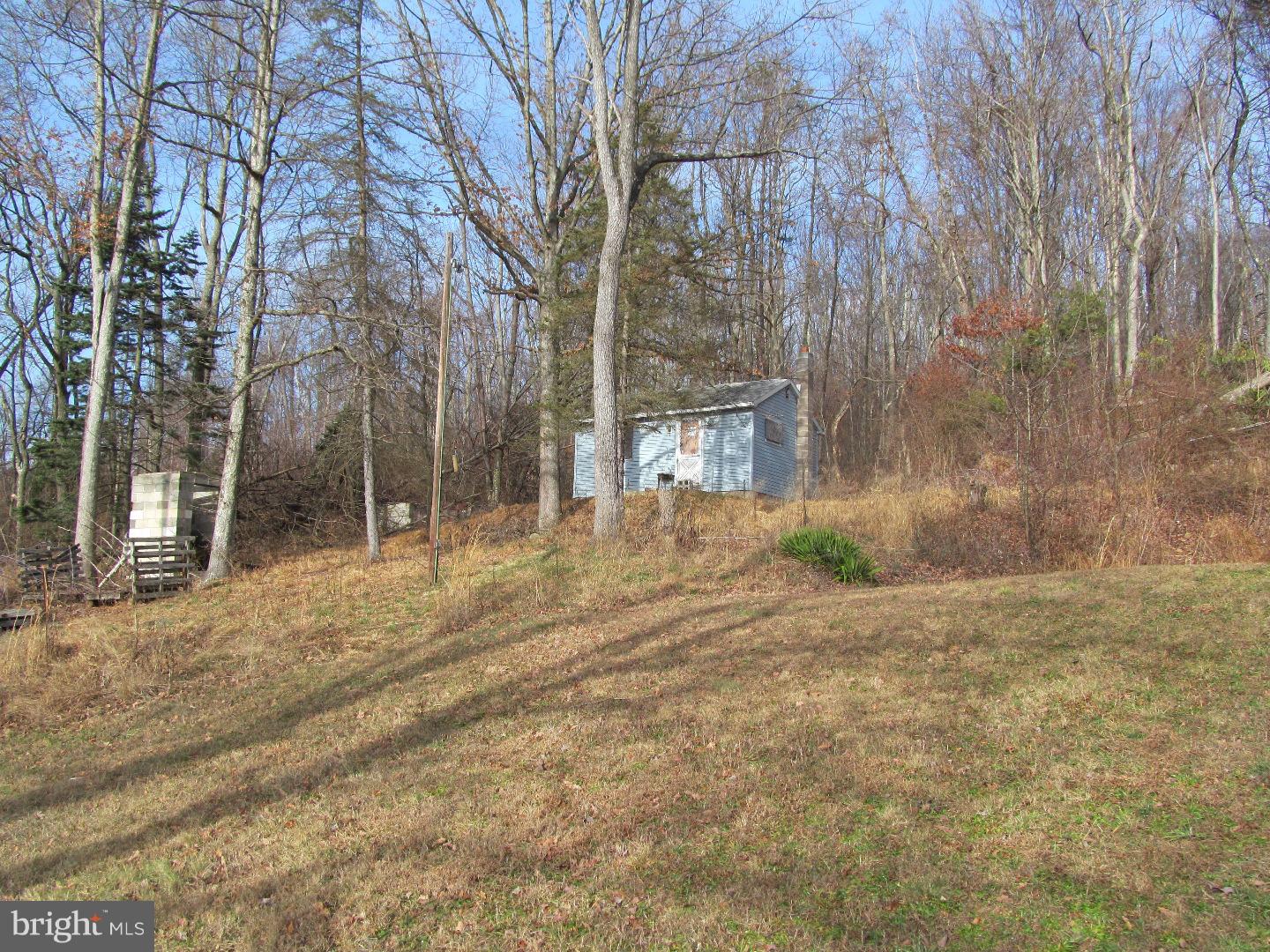 231 Beechnut Road New Ringgold, PA 17960 - Photo 14 of 24 Back Yard
