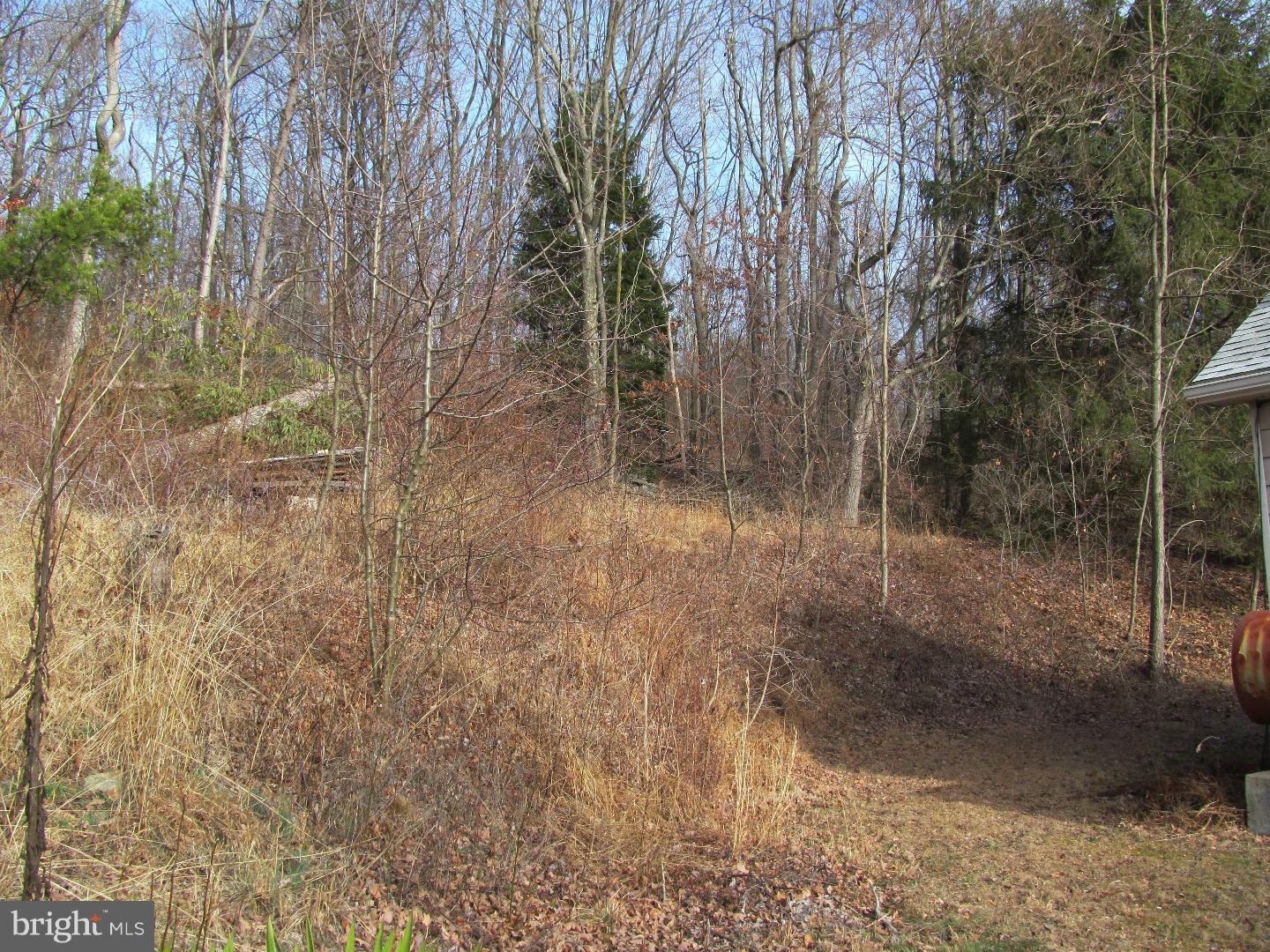 231 Beechnut Road New Ringgold, PA 17960 - Photo 21 of 24 View