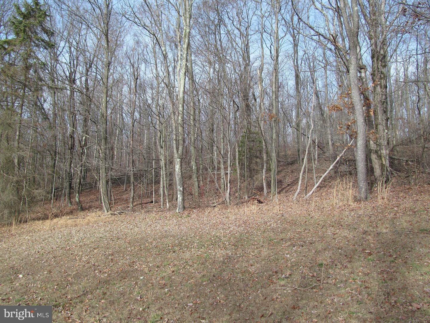 231 Beechnut Road New Ringgold, PA 17960 - Photo 22 of 24 View