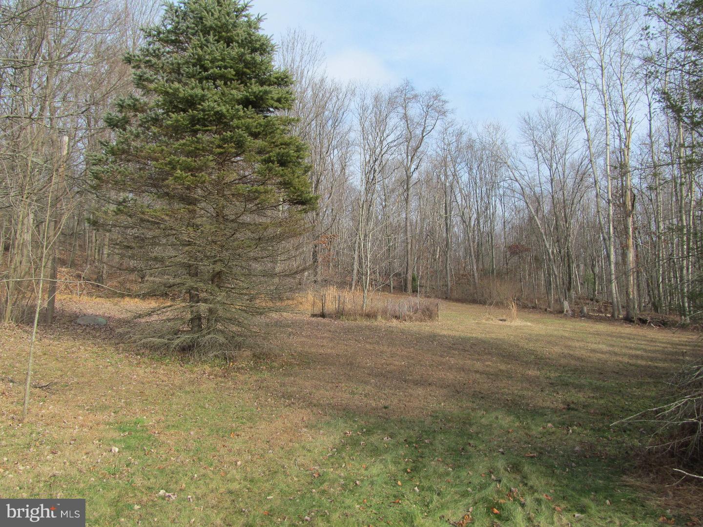 231 Beechnut Road New Ringgold, PA 17960 - Photo 23 of 24 View