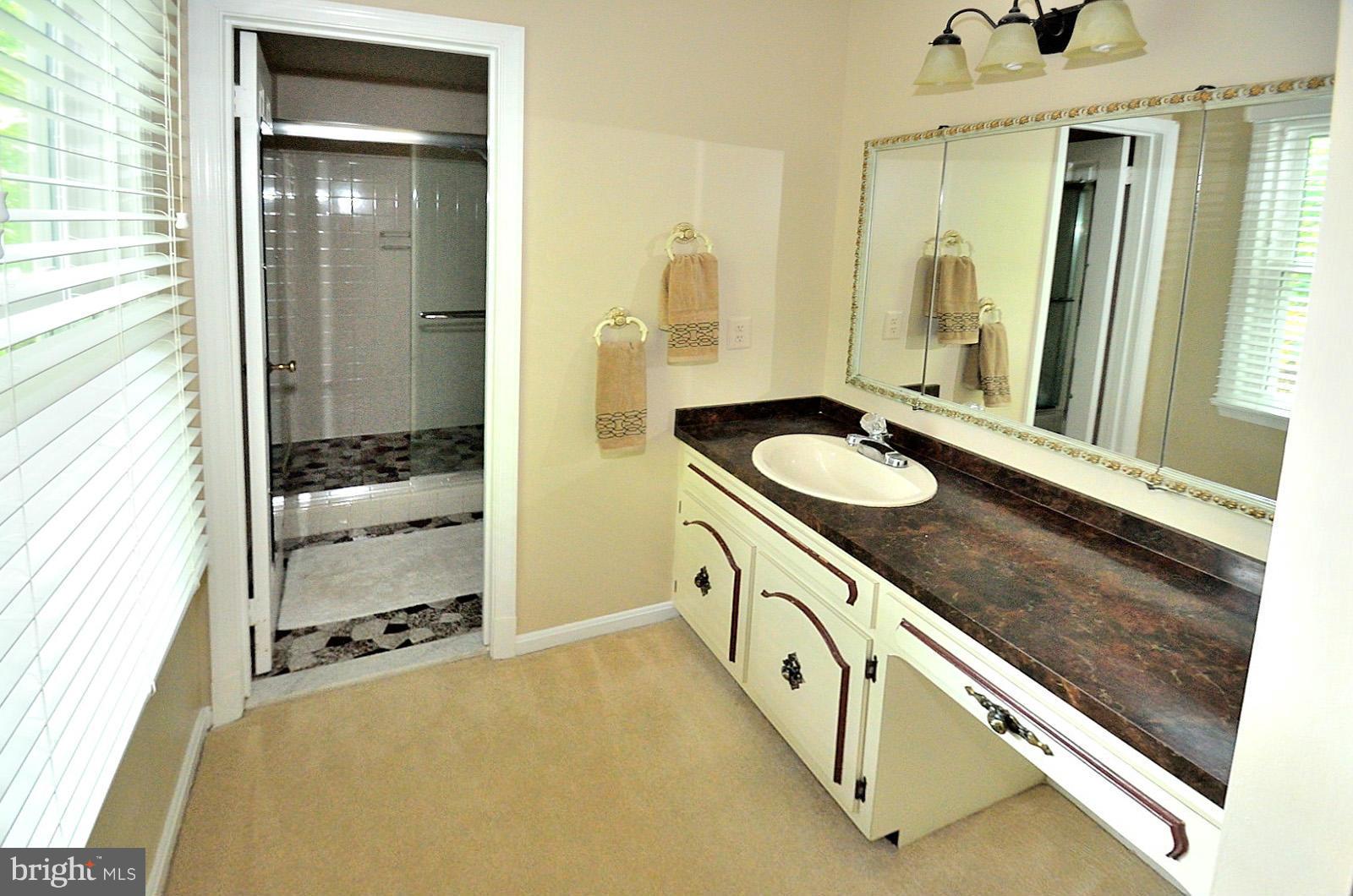 6315 Buffalo Ridge Road Falls Church, VA 22044 - Photo 17 of 29 Bath (Master)