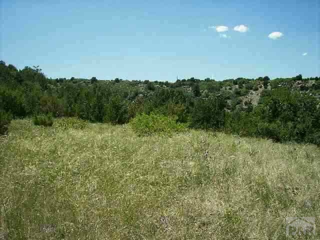 Siloam Road Pueblo, CO 81005 - Photo 1 of 1 Gallery Image 1