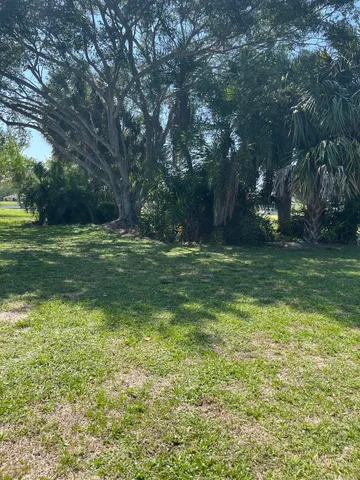 a view of a back yard