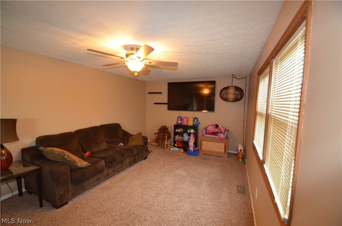 4770 Bryenton Road Litchfield, OH 44253 - Photo 8 of 28 Gallery Image 8