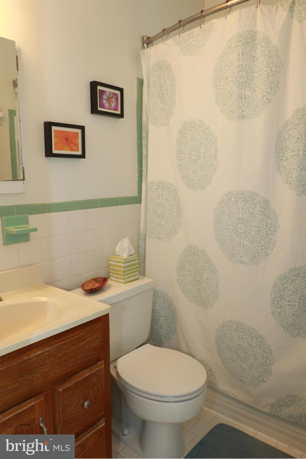 100 East Braddock Road Alexandria, VA 22301 - Photo 13 of 19 Bath
