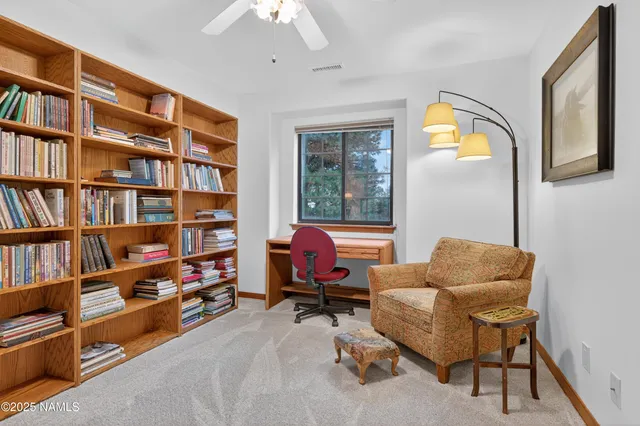 a living room with furniture and a book shelf