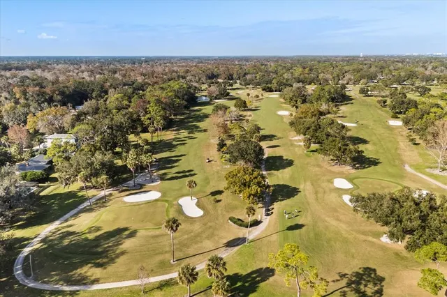 a view of a patio with table and chairs potted plants and large tree