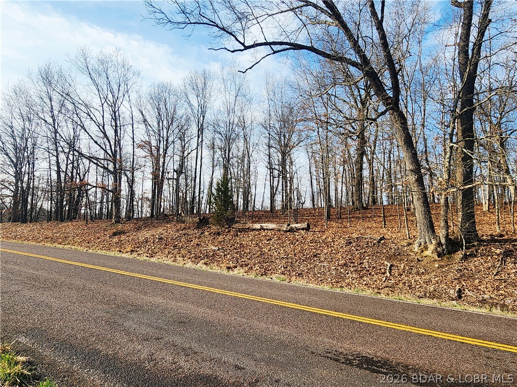 Lot 5 State J Road Camdenton, MO 65020 - Photo 14 of 32