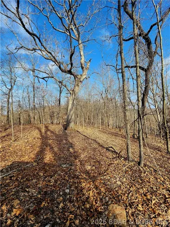 $89,717 | Lot 5 State J Road, Camdenton, MO 65020