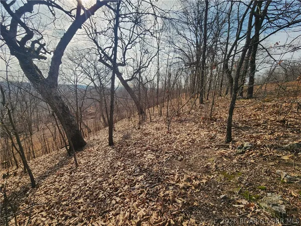 $89,717 | Lot 5 State J Road, Camdenton, MO 65020
