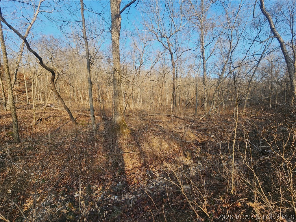 Lot 5 State J Road Camdenton, MO 65020 - Photo 3 of 32