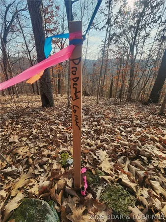$89,717 | Lot 5 State J Road, Camdenton, MO 65020