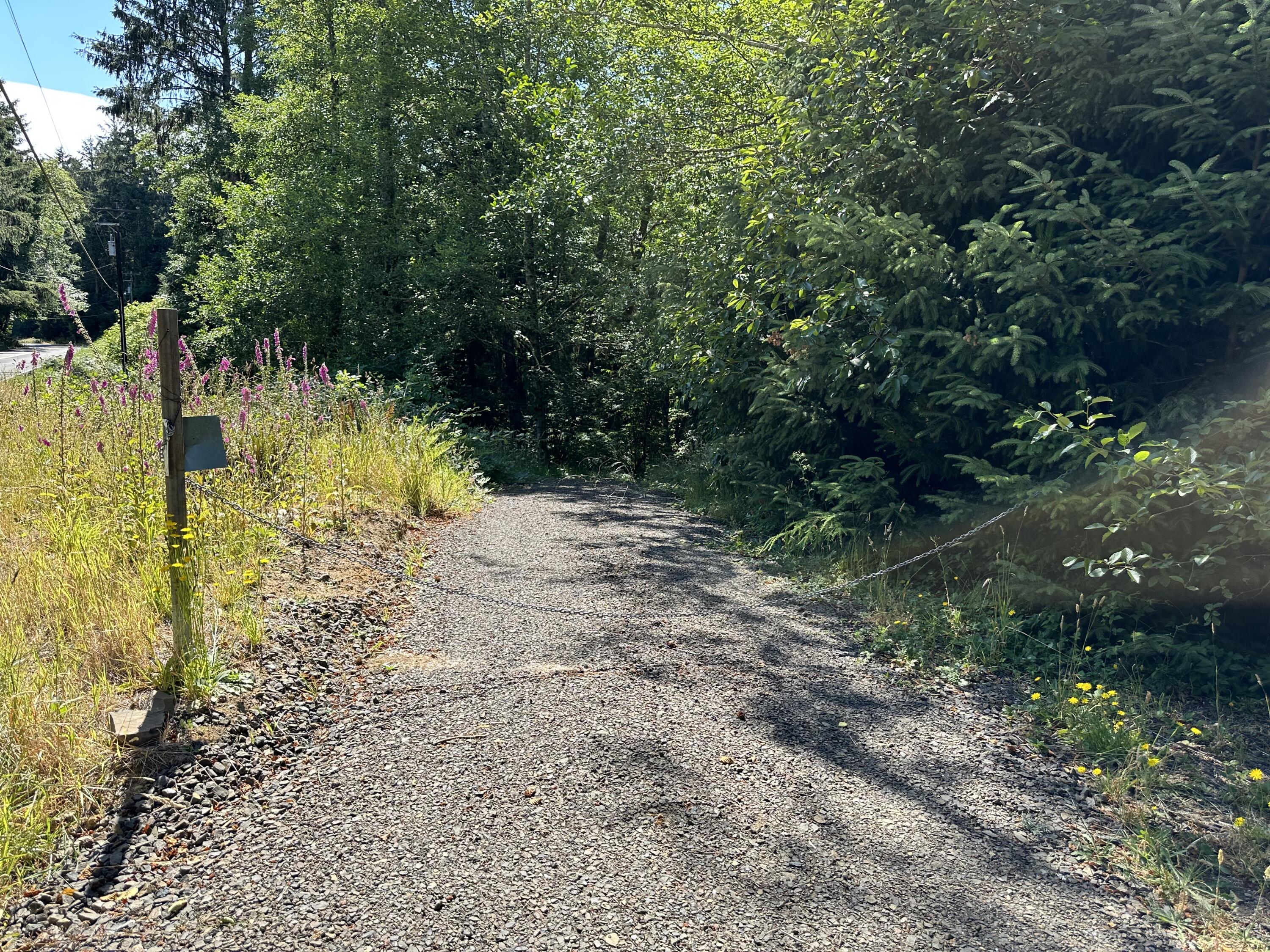 Lot#00300 Whiskey Creek Road Tillamook, OR 97141 - Photo 2 of 14 Driveway Entrance