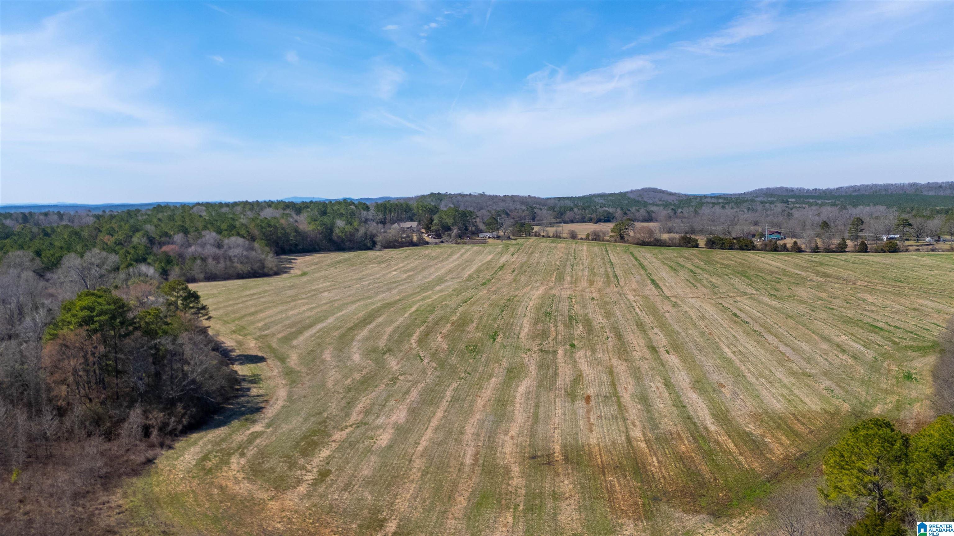 0 Brooks Lake Road, Unit 1 Lincoln, AL 35096 - Photo 2 of 10