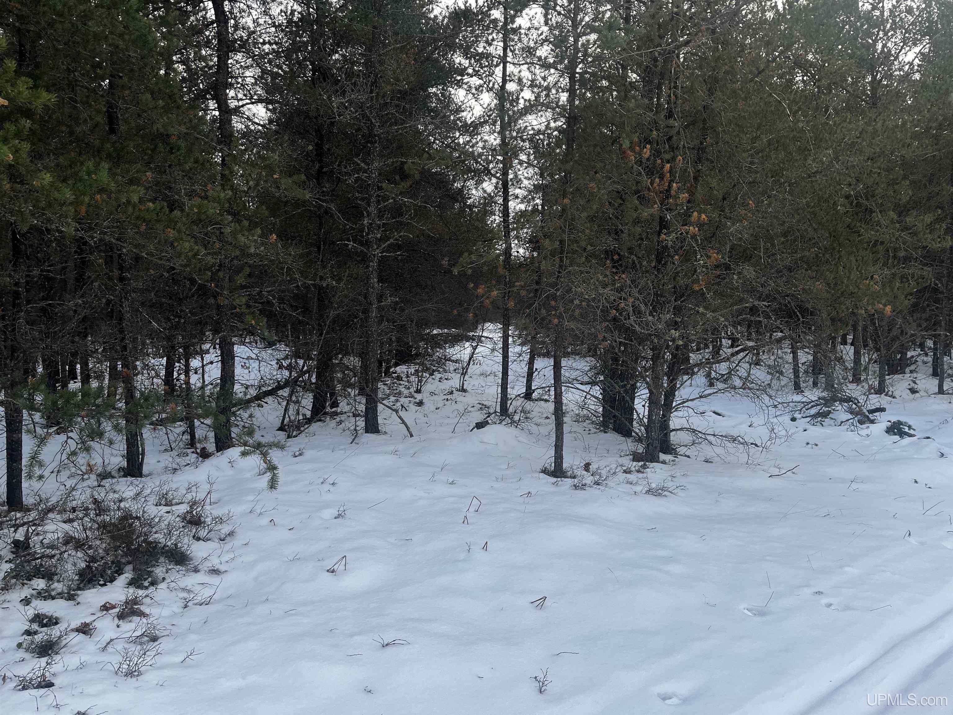 1 Rice Lake Road Gwinn, MI 49841 - Photo 9 of 25