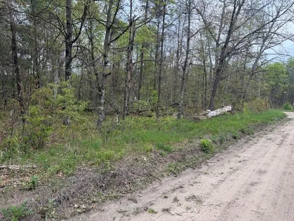 $14,500 | Vl Mount Vernon Avenue, Baldwin, MI 49304