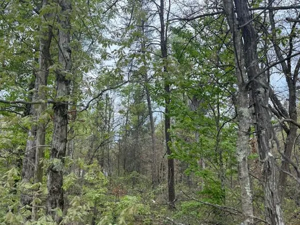 $14,500 | Vl Mount Vernon Avenue, Baldwin, MI 49304