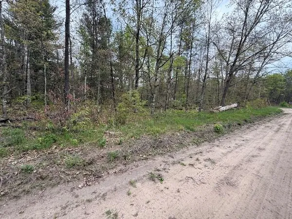 $14,500 | Vl Mount Vernon Avenue, Baldwin, MI 49304