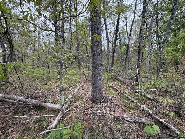 $14,500 | Vl Mount Vernon Avenue, Baldwin, MI 49304