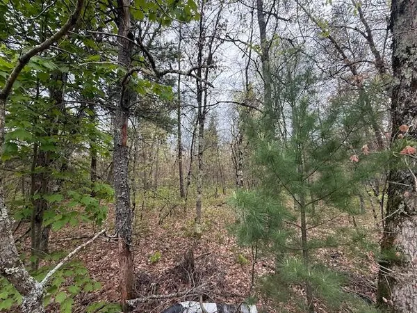$14,500 | Vl Mount Vernon Avenue, Baldwin, MI 49304