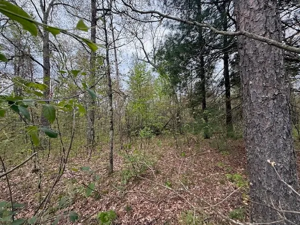 $14,500 | Vl Mount Vernon Avenue, Baldwin, MI 49304