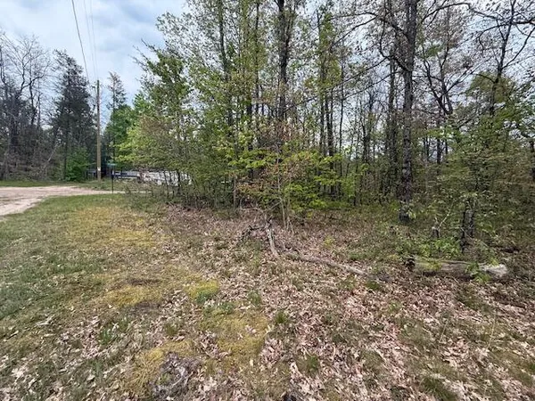 $14,500 | Vl Mount Vernon Avenue, Baldwin, MI 49304