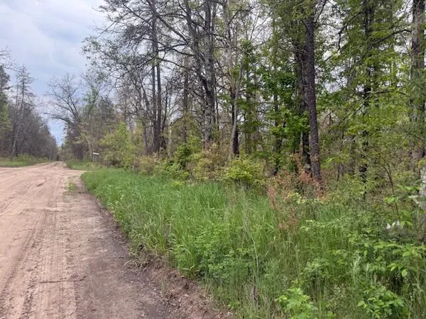 $14,500 | Vl Mount Vernon Avenue, Baldwin, MI 49304