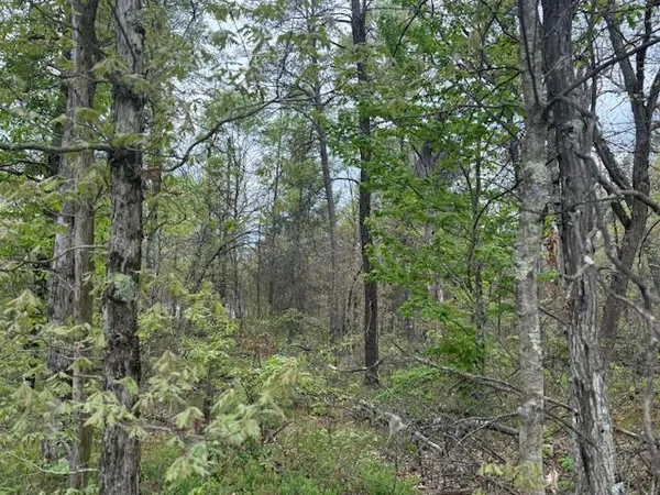 $14,500 | Vl Mount Vernon Avenue, Baldwin, MI 49304