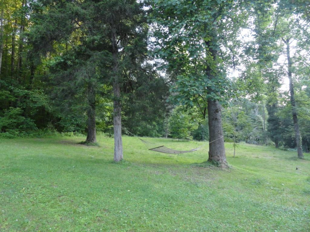 19655 Federal Road Bristol, VA 24202 - Photo 22 of 36 Hammock side yard