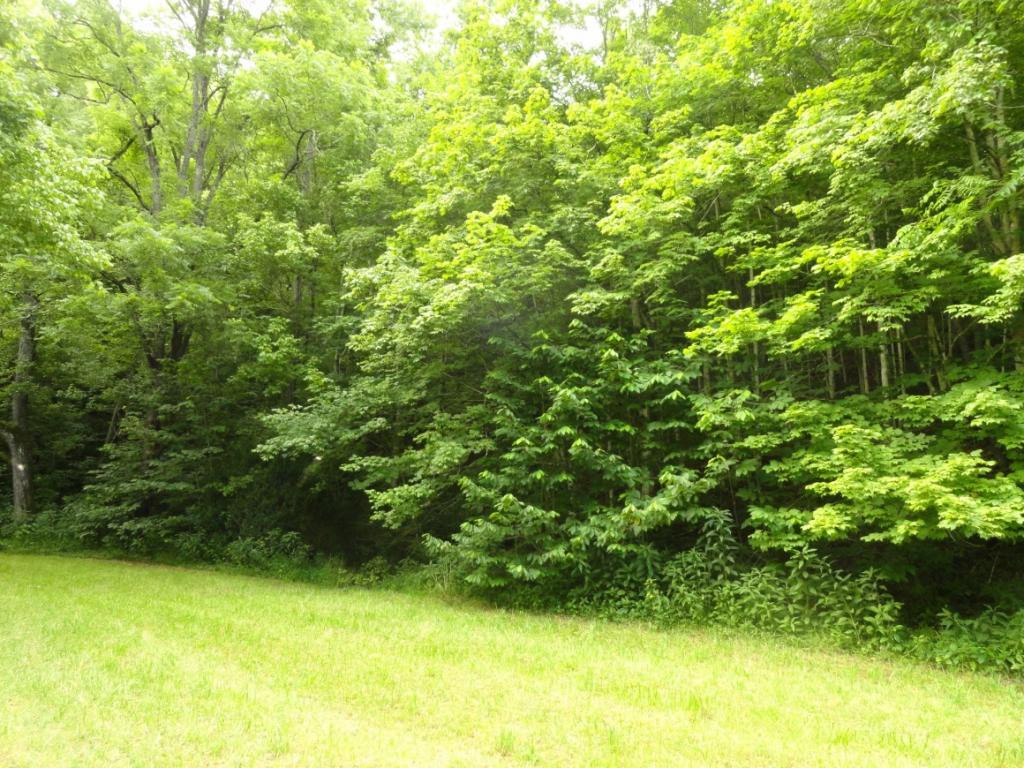 19655 Federal Road Bristol, VA 24202 - Photo 26 of 36 Photo 26