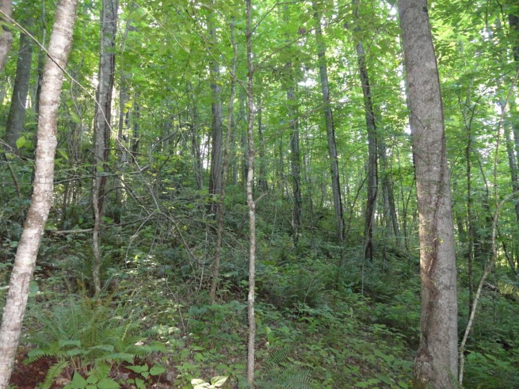 19655 Federal Road Bristol, VA 24202 - Photo 32 of 36 Photo 32