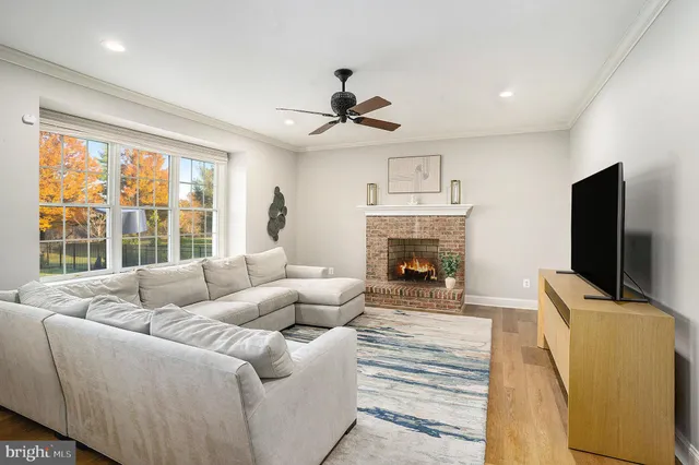 a view of a garden with an outdoor space