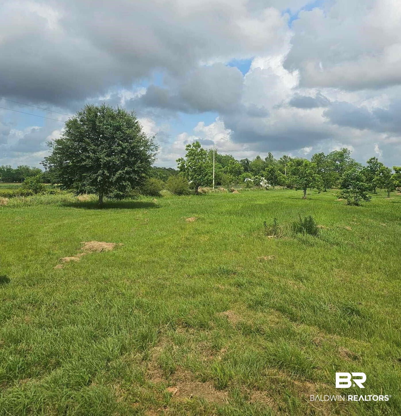 0 County Road 83 Elberta, AL 36530 - Photo 1 of 1