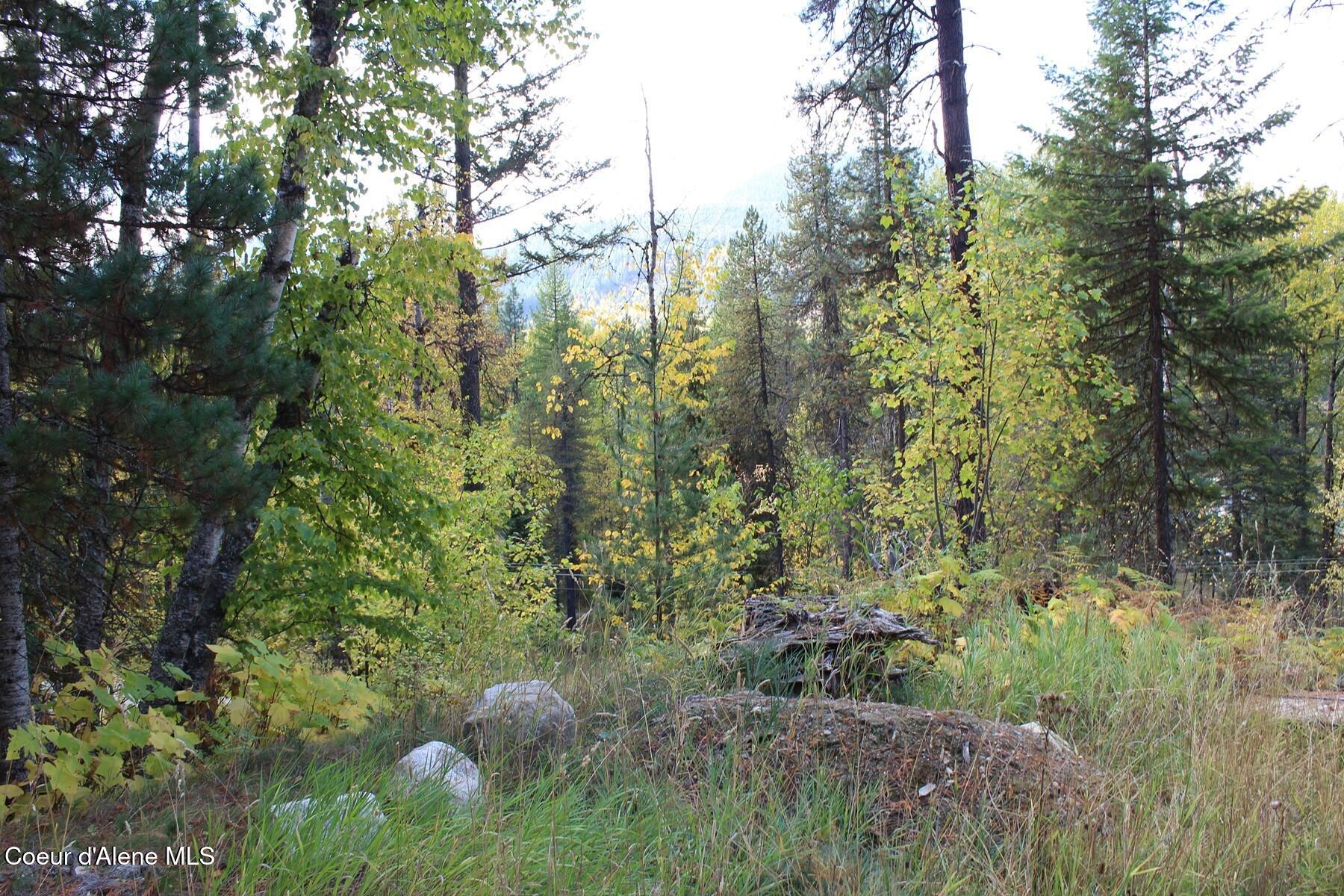 4327 Upper Pack River Road Sandpoint, ID 83864 - Photo 1 of 1 IMG_7023
