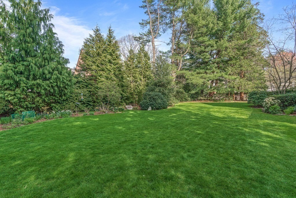 218 Middlesex Road Brookline, MA 02467 - Photo 29 of 30 a view of a grassy field with trees