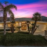 a view of a lake with a palm tree