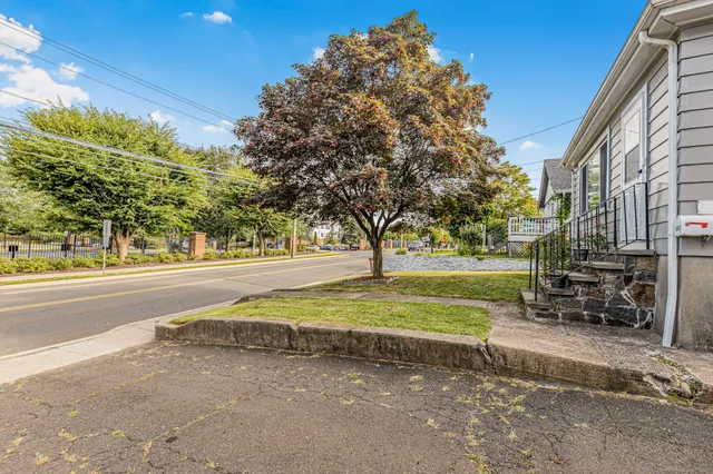 a view of a park with large trees