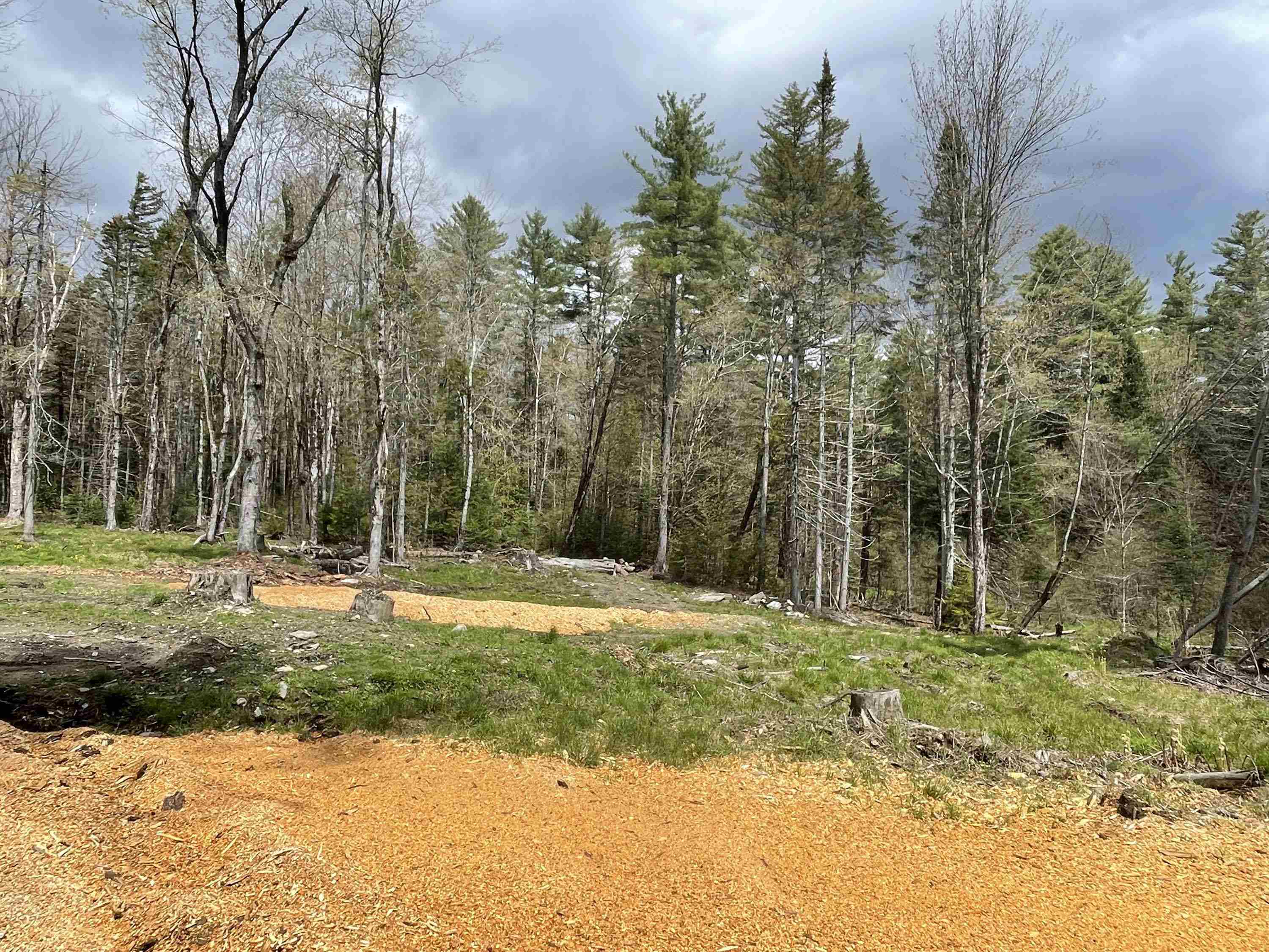 33 Forrest Lane Newfane, VT 05345 - Photo 33 of 36