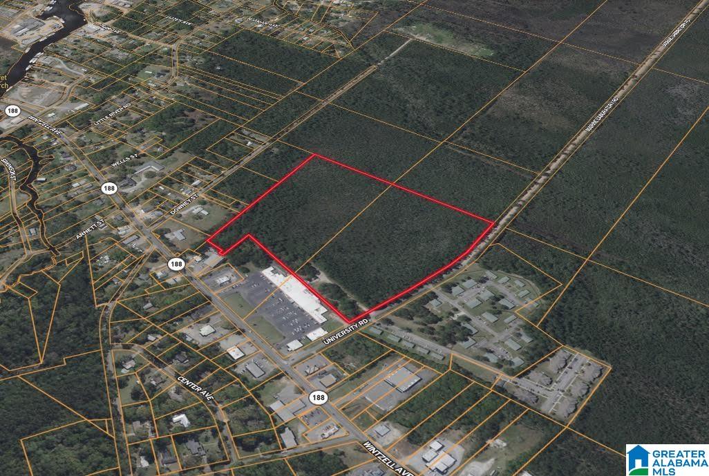 8701 University Road Bayou La Batre, AL 36509 - Photo 3 of 6