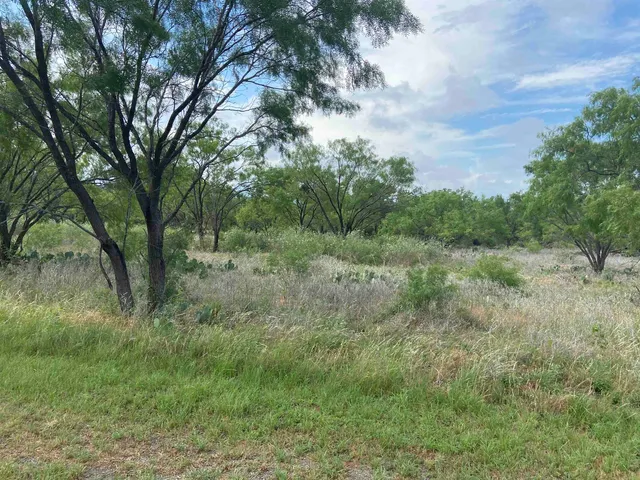 $165,000 | Lot 22 Lone Oak Drive, Burnet, TX 78611