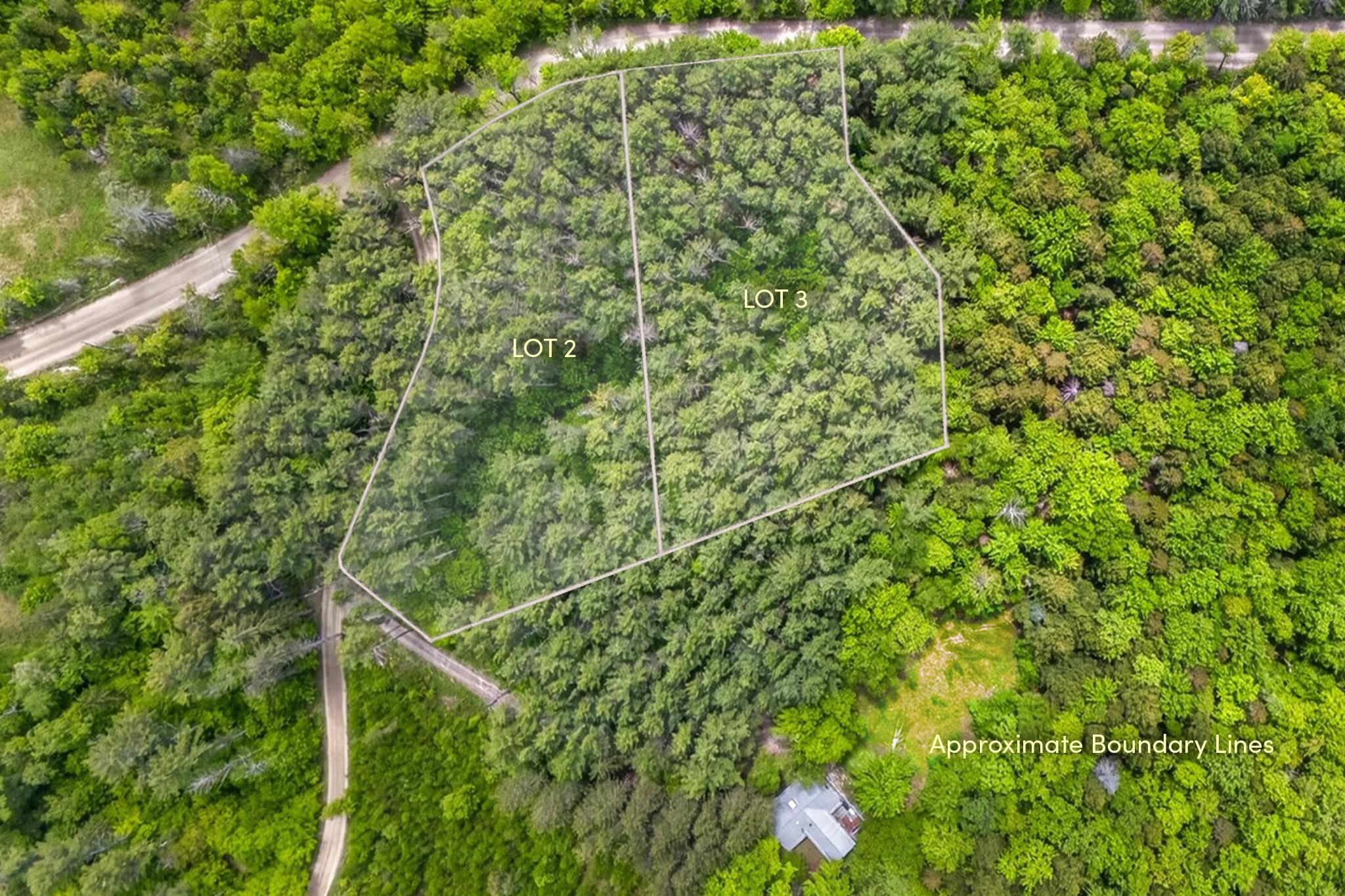0 Wall Street, Unit LOT 2 & 3 Winhall, VT 05340 - Photo 3 of 5