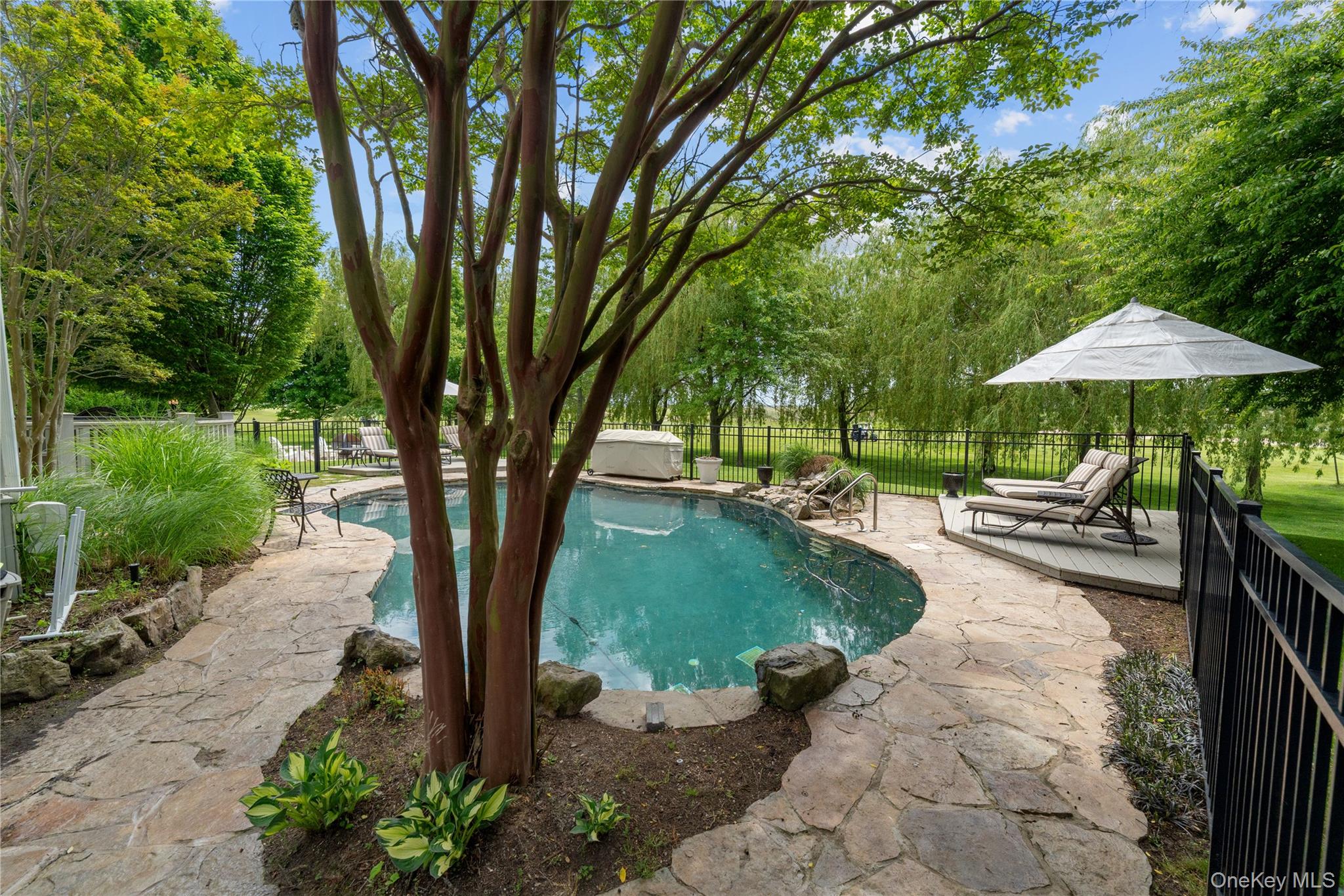 11 Hickory Road Woodmere, NY 11598 - Photo 44 of 50 SALT WATER HEATED POOL