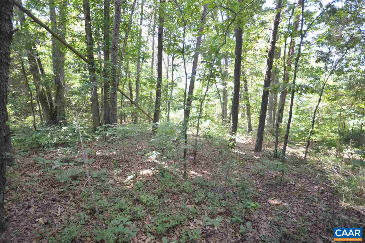 0 Chapel Road Ruckersville, VA 22968 - Photo 2 of 10 a view of outdoor space and green space