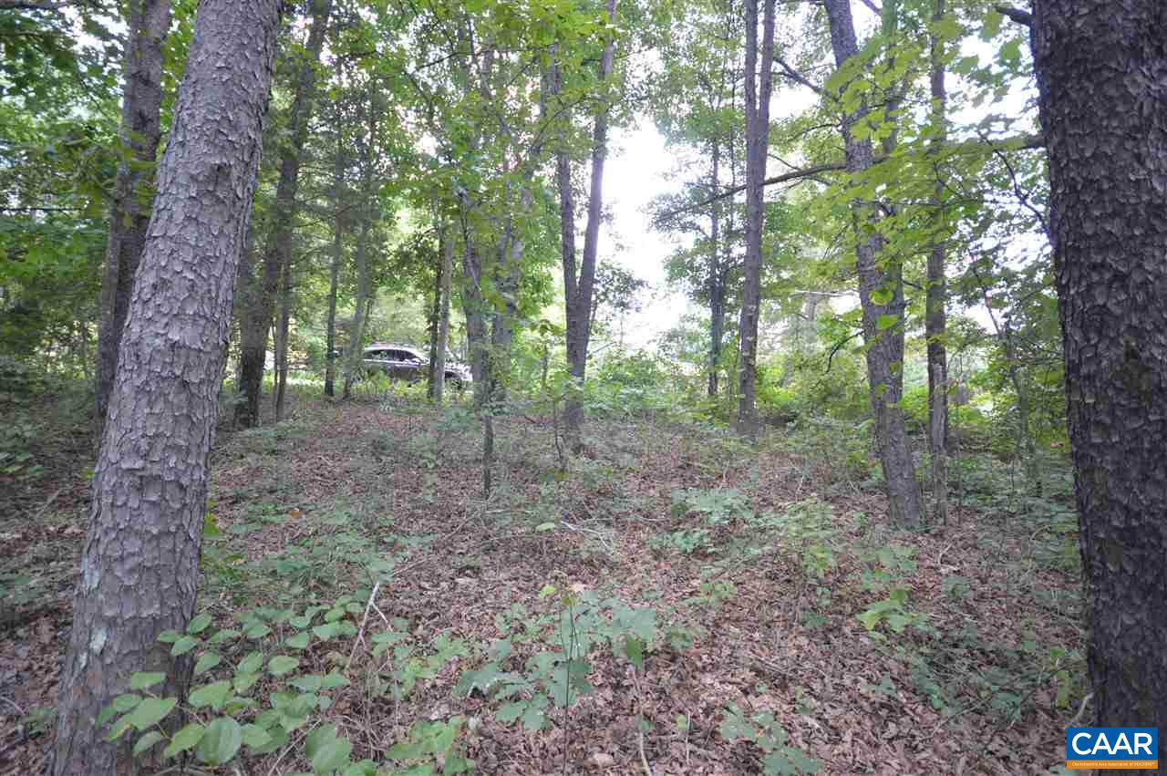 0 Chapel Road Ruckersville, VA 22968 - Photo 3 of 10 a view of a forest that has large trees