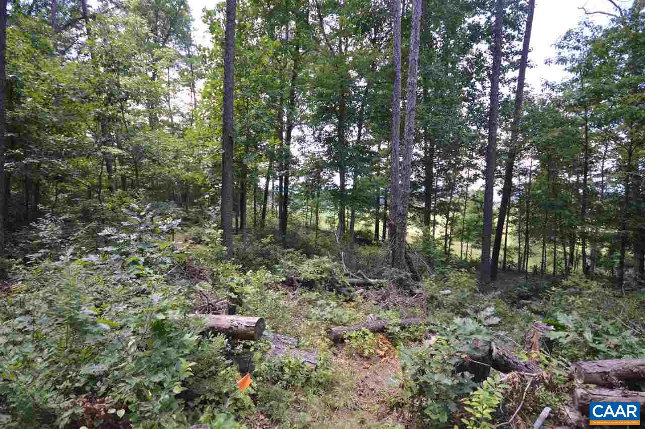 0 Chapel Road Ruckersville, VA 22968 - Photo 4 of 10 a view of forest